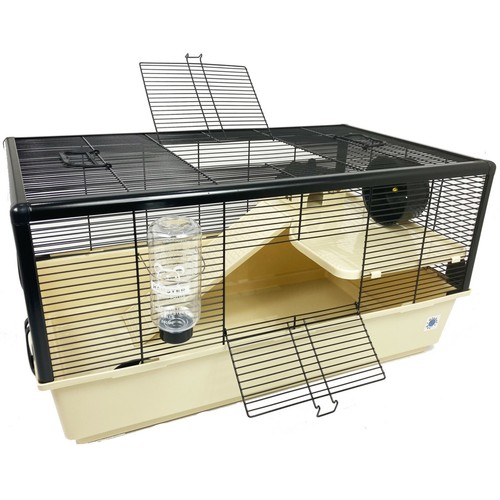Grosvenor large syrian hamster - grosvenor,