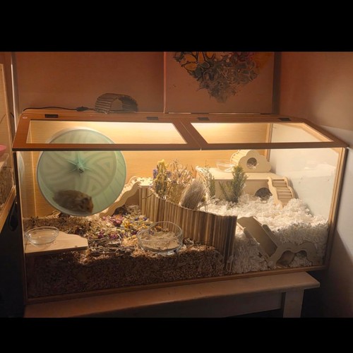 Large wooden hamster cage - hamster, with