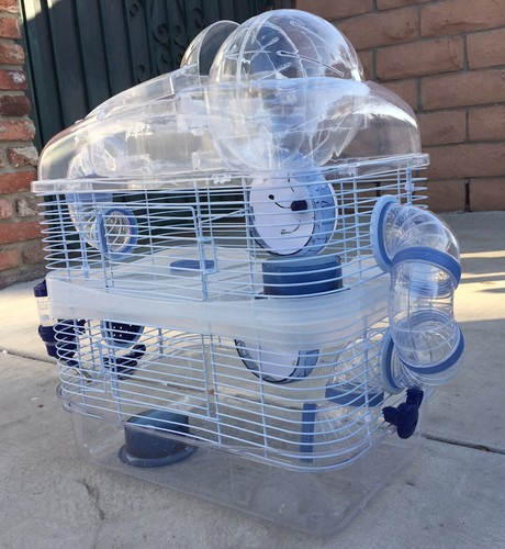 Tiers dwarf hamster rodent - dwarf,