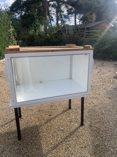 Glass fronted hamster home and - hamster,
