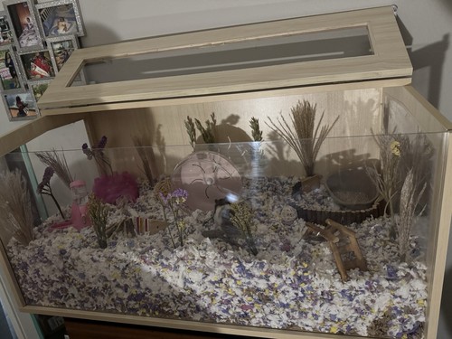 Large wooden hamster cage - large, with