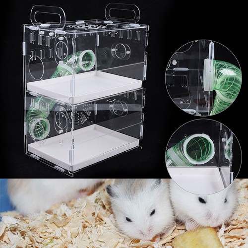 Modern acrylic large hamster - acrylic,
