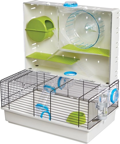 Midwest hamster gerbil - midwest, hamster/gerbil/mouse