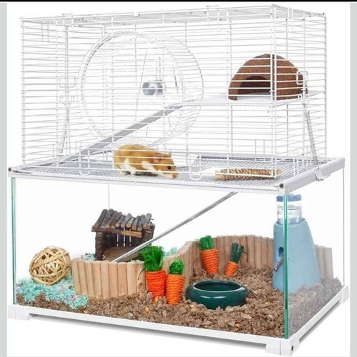 Oiibo tier glass - tier, hamster