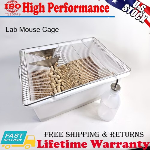 Lab mouse cage rat - lab, rodent