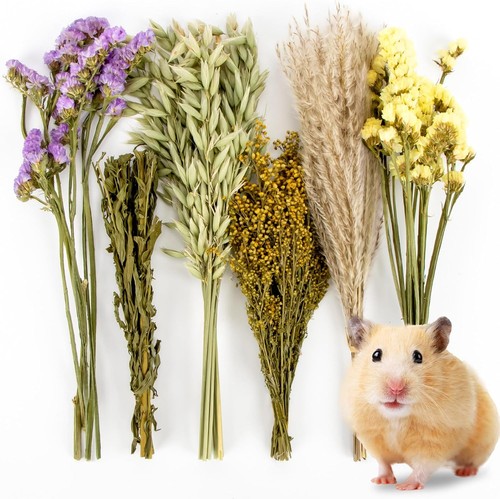 42pcs herb bedding - herb,