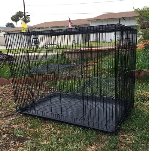 Large tight wire space - space, animals